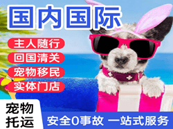 海拉尔机场空运国际宠物托运 【国